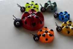 Ladybird-bottles