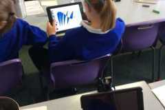 D8118EE1436643459892B3C93EB49C06