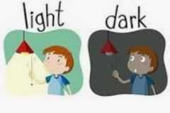 DDCBA4AF6F6A471EB2FEECADA05DF256