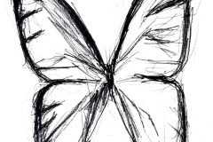 Butterfly-BW